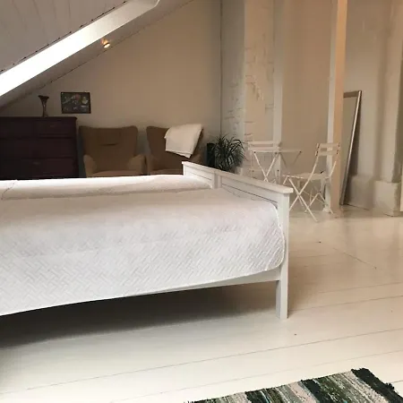 Center 2-bedroom 1 And A Half Bath Unique Old Elegance Apartmán Tampere